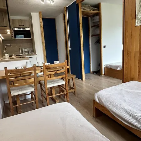 Divisible Avec Balcon, Proche Des Pistes, Animaux Admis - Fr-1-355-161
