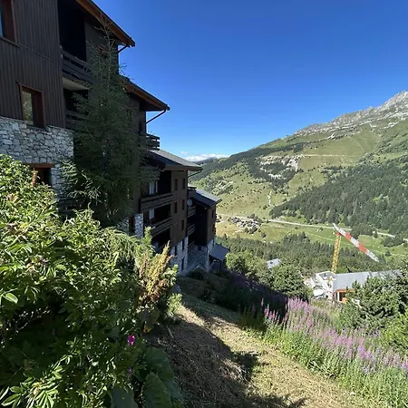 Divisible Avec Balcon, Proche Des Pistes, Animaux Admis - Fr-1-355-161